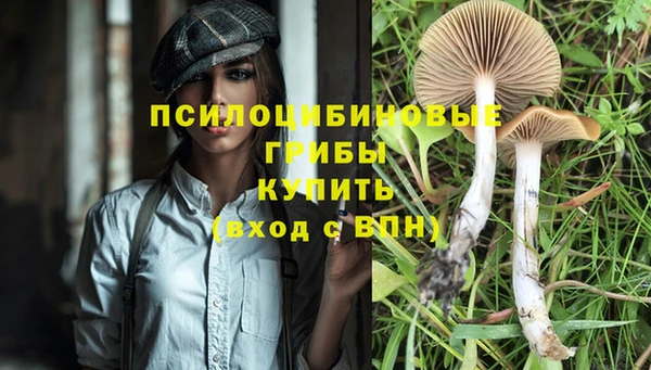 гидропоника Алзамай