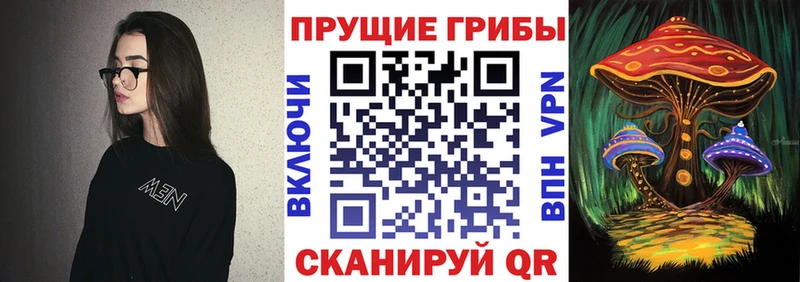 Галлюциногенные грибы мухоморы  хочу   нарко площадка наркотические препараты  Гусь-Хрустальный 