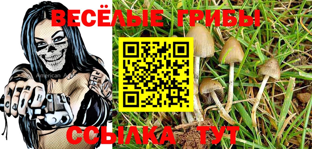 Псилоцибиновые грибы ЛСД  Галлюциногенные грибы Psilocybe  Гусь-Хрустальный  Вход с VPN 